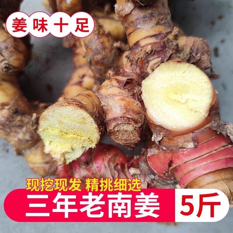 潮汕南姜野生新鲜去腥炖汤卤鹅鸭牛肉火锅南姜生姜包邮