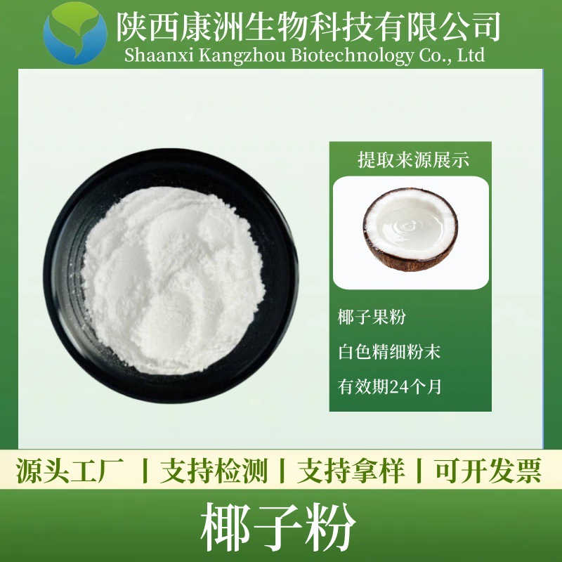 椰子粉  椰浆粉 喷雾干燥 康洲生物现货包邮 脱脂椰子粉 量大优惠