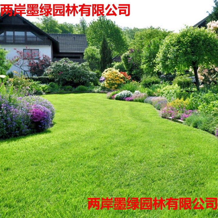 Семена газонов для стабилизации почвы и защиты склонов, семена трав для проектов по зеленению склонов, вечнозеленые травы для всех сезонов, семена засухоустойчивой и термостойкой травы «собачий зуб».