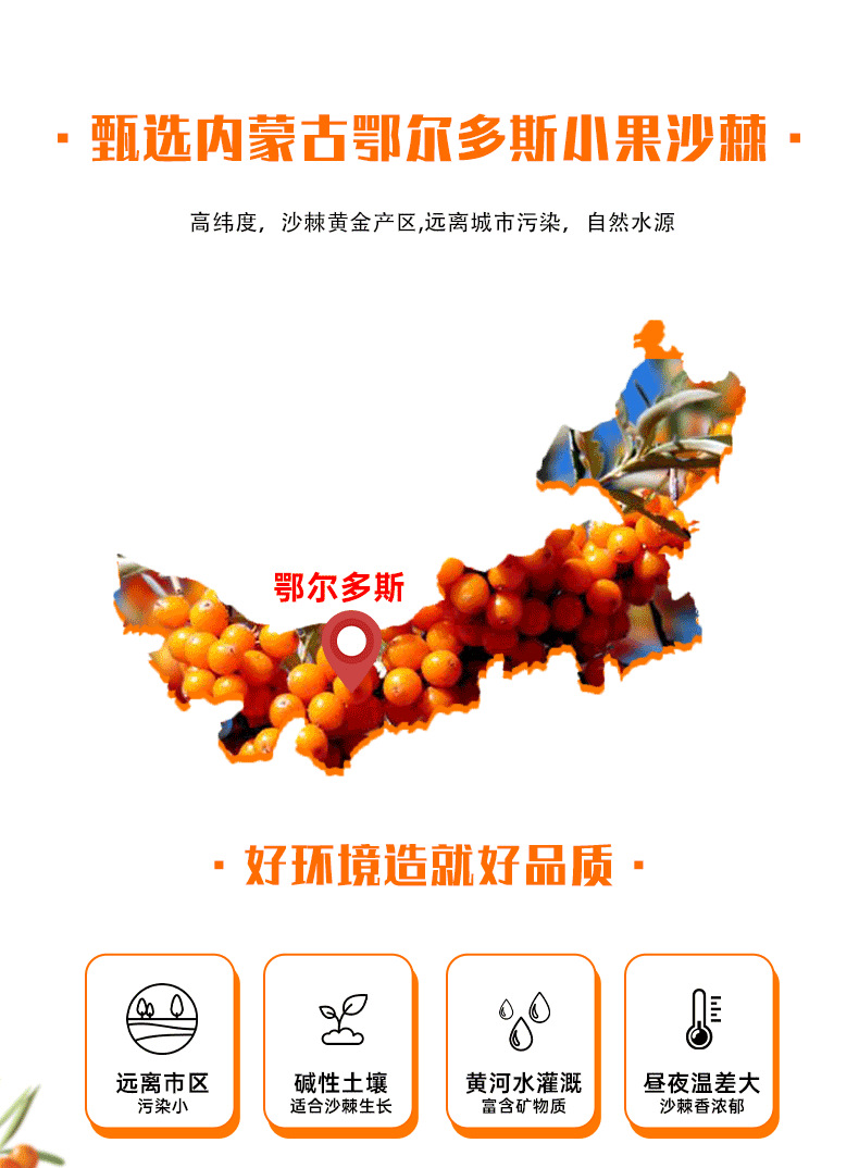 Sea Buckthorn Juice Puree 300ml Portable Spout Pouch Inner Mongolia Sour Berry Drink overview