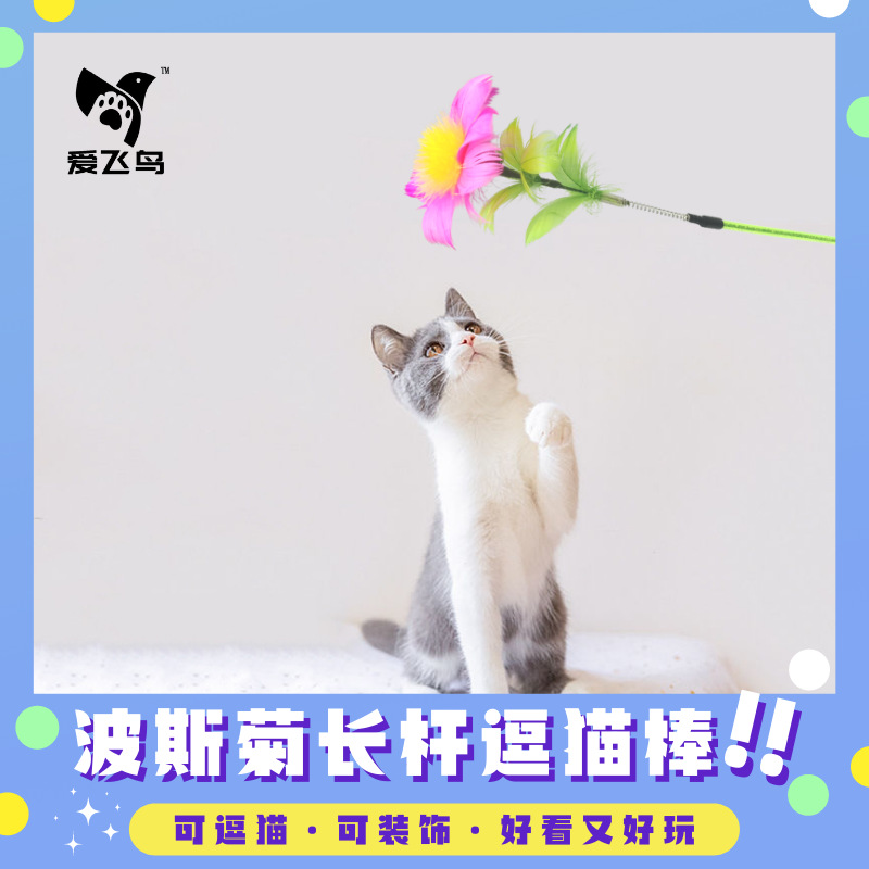 爱飞鸟猫玩具波斯菊弹簧长杆逗猫棒一体手持互动解闷可逗猫宠物猫