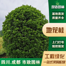 \Ĵ@־GͥԺe@^ֲﻨ