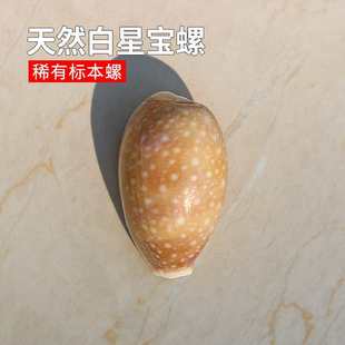 ���ǌ��ݺ���ؐ���~��ˮ���쾰ϡ�И˱��ݾә����ղؔ[��Ʒ