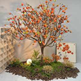 仿真柿子树许愿树室内装饰造景假果树酒店大堂节日橱窗布置造型树