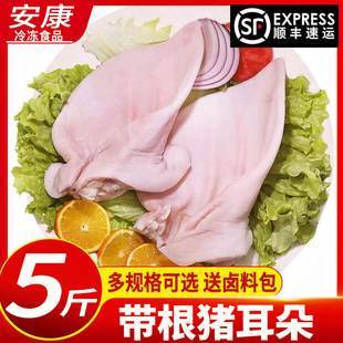 ���r�����i��������i�����i��Ƭ���i���u�˸�С�Ƀ�ȥë��S���]