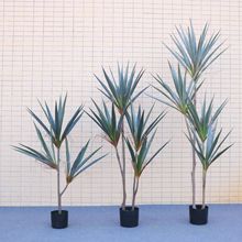 Դ^SҷGֲС~mmٻ辰b[쾰