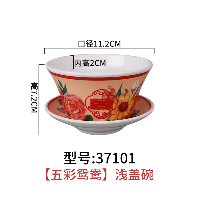 37101 다채로운 원양 얕은 덮은 그릇