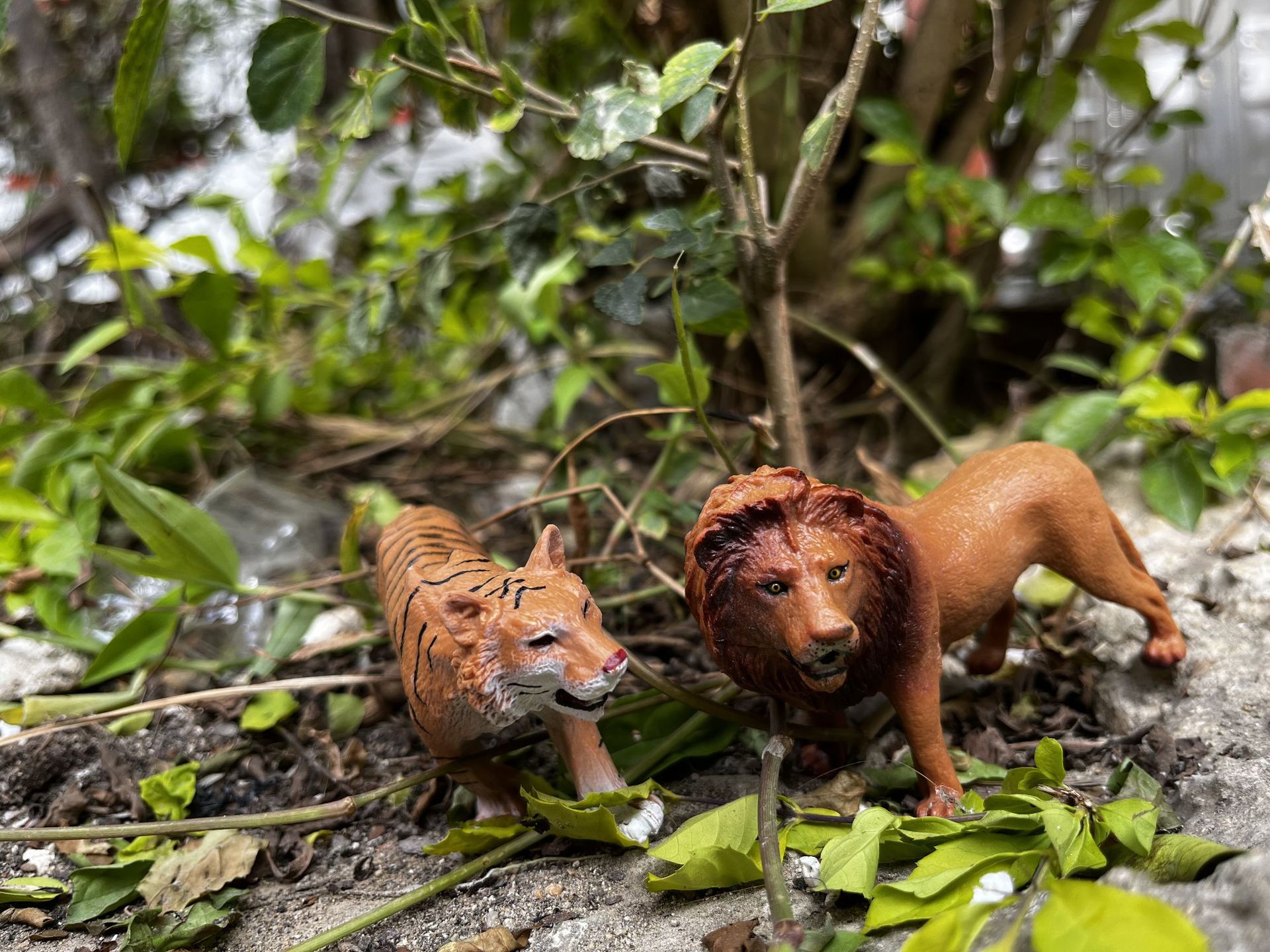 333214EF6C40D9278B16D5DD0E2E7B