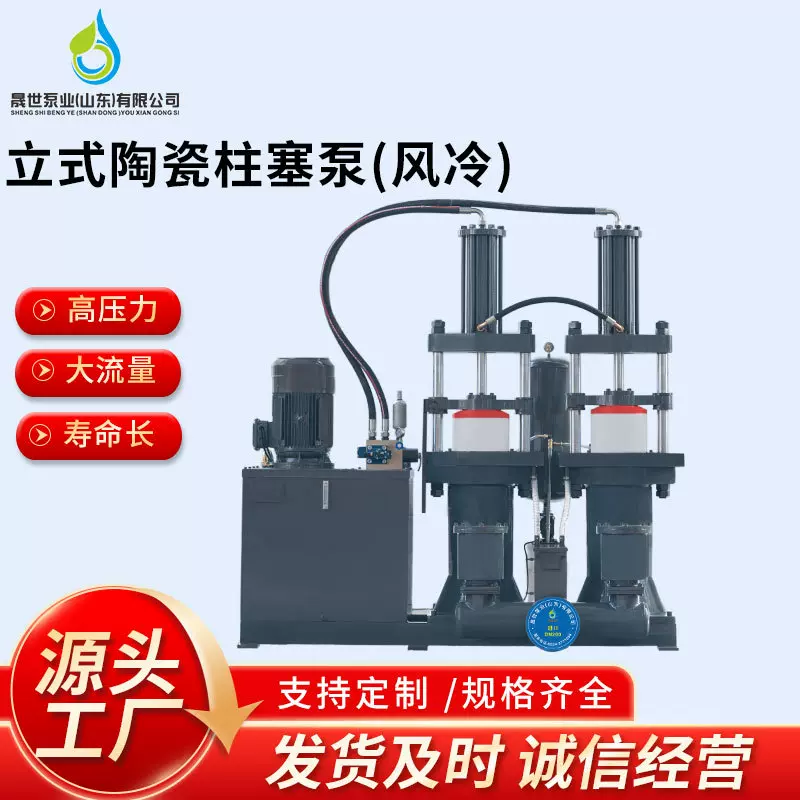 源头工厂市政污水处理脱水污泥浓缩油污用不锈钢立式陶瓷柱塞泵