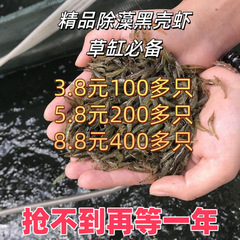 黒殻エビ除藻エビ飼料セット淡水観賞エビタンク清潔エビ造景シリンダー除藻道具エビ