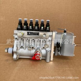 �o�a����5529186/��{����˹DCEC 6BTAA5.9-G2.���ͱÿ���