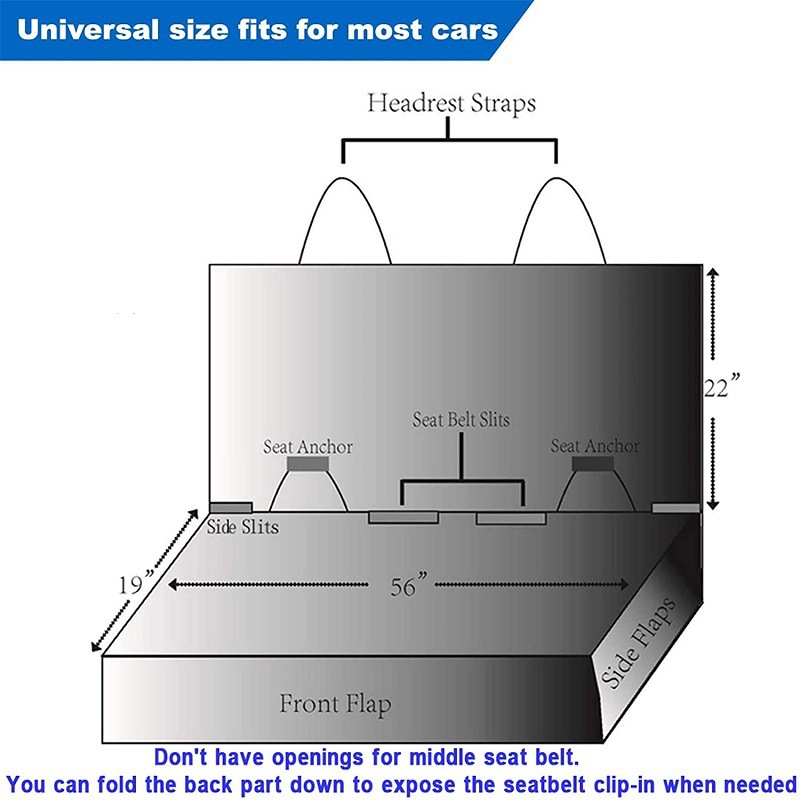 12.jpg?x-oss-process=image/format,png