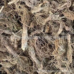 ��ș�� 500�� ��đ�^ ���đ �ؿ�đ ��đ�� ��؛�Ҝ��� �a��ֱ��