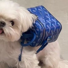 ���ֵ����p�ݷ�ʽС���L����ͨ�ô������W�tinsб��μ����C��