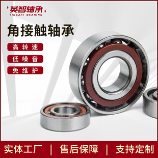 ����25TAC62B�ǽ��|�C���z�U�S��