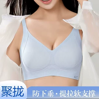 新品 通杯  聚拢杯托胸无钢圈不易空杯舒适 1038