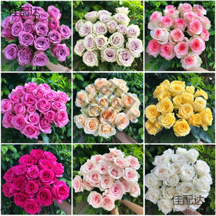 .�r�����]���ֱ�l���տ���ˮ�ٺ�õ�����r�����滨����ֱ���Y