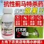 抗性芒果树花卉农药