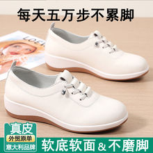 ԭγƤŮЬСЬһ_ܛŮЬeЬ