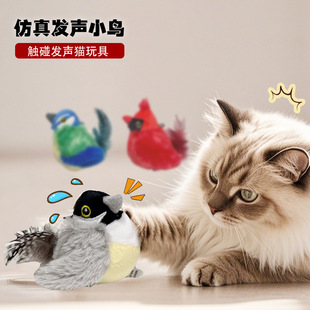�羳؈���؈��l�����B���˽␞����ë�qС�B������ȸ��؈�S��