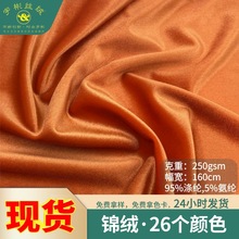 锦绒弹力涤氨纶超柔金光绒布 亮光丝滑家居睡衣服女装连衣裙面料