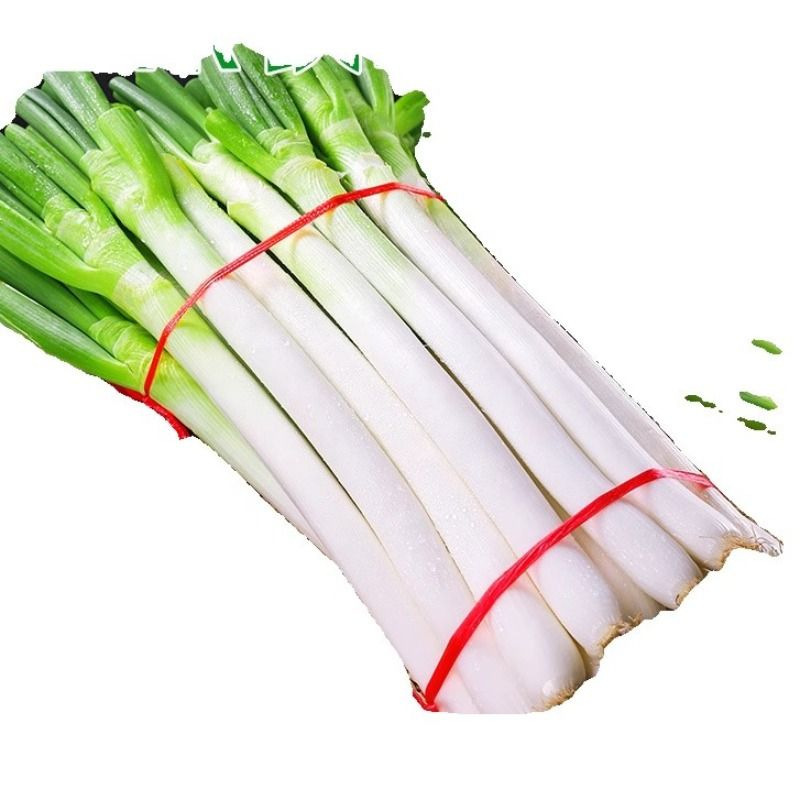 Shandong Green Onions Fresh 5kg Crispy Sweet Spicy Specialty Seasonal Vegetables 3 Whole Boxes Free Shipping