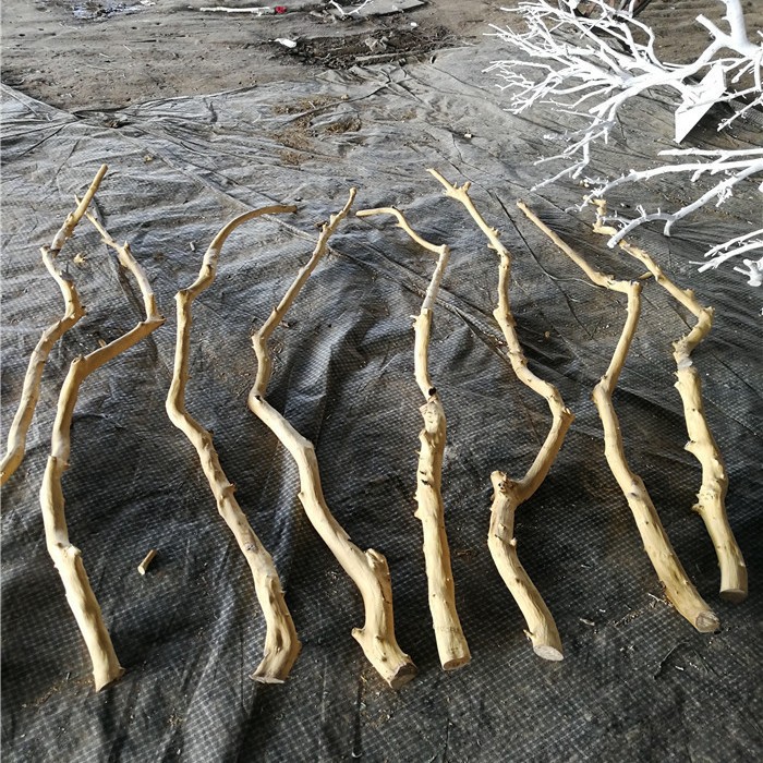 干树枝去皮本色龙骨杆树杆白树枝树干装饰干枝枯枝树杈杆壁挂