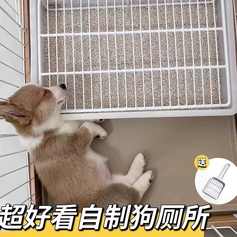 Собаки туалеты Собаки не наступают на фекалии