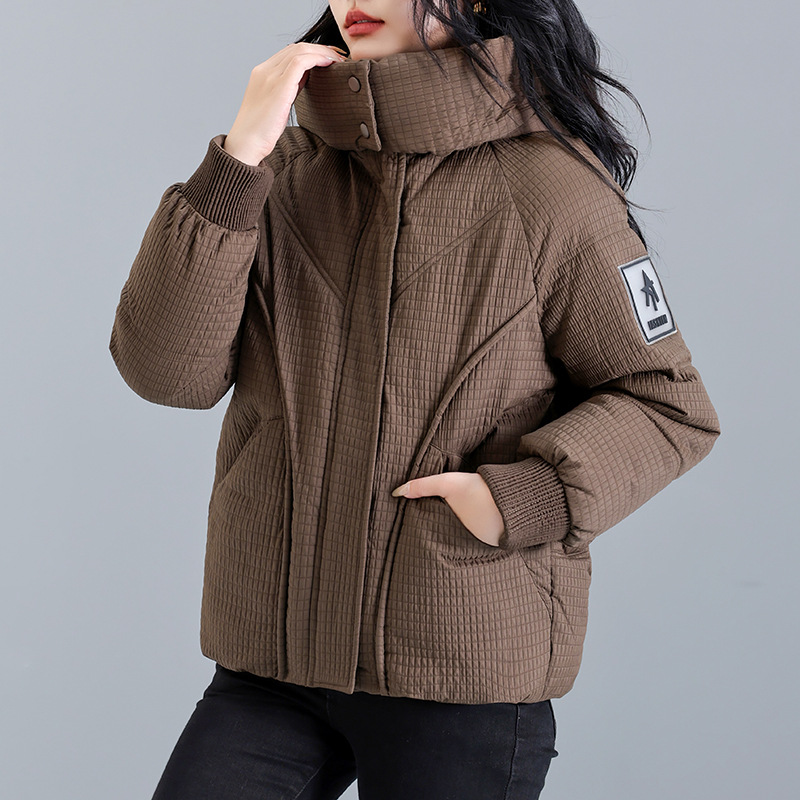 2024 invierno de algodón encapuchado chaqueta de plumón de mujer literatura de color sólido pequeño cierre de pan caliente ropa de algodón image 4