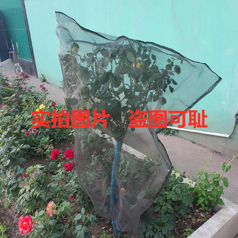 黑色植物防虫罩亚马逊防虫袋抽绳防苍蝇罩花果防虫网防鸟网