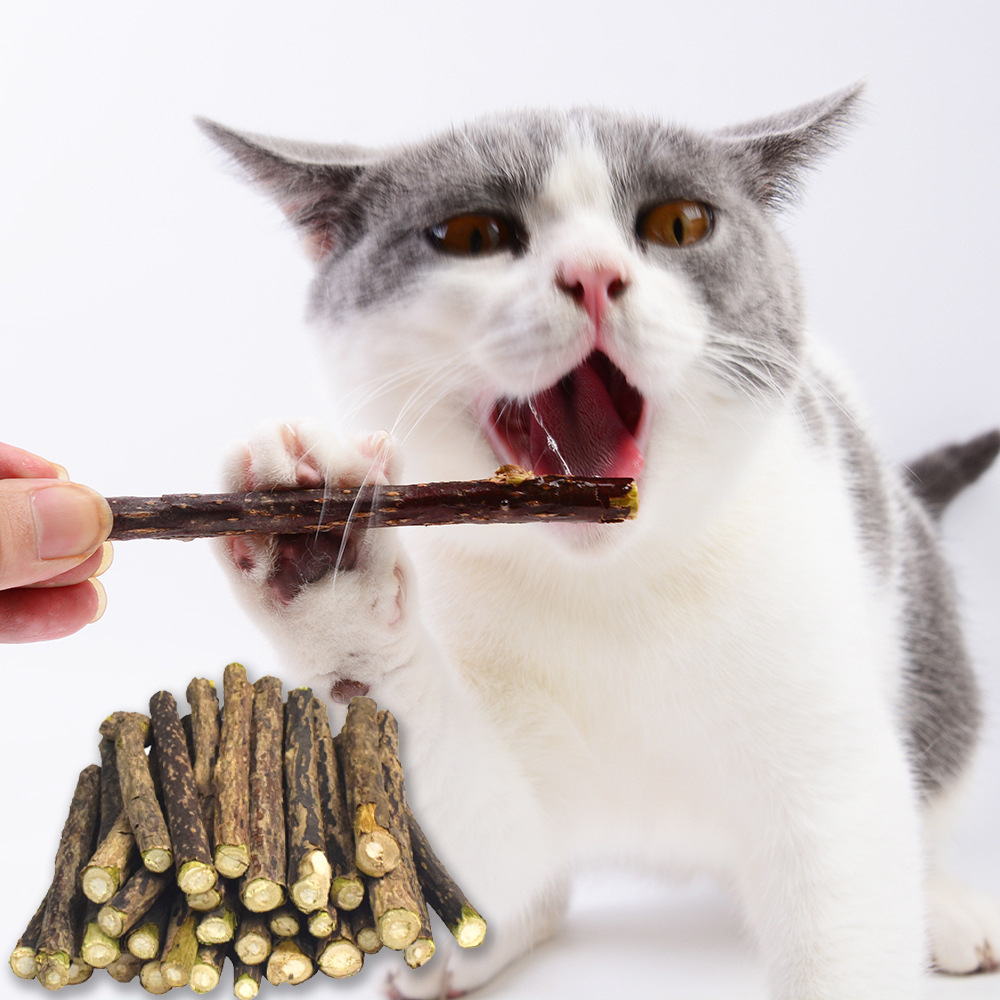 猫玩具猫咪木天蓼20支猫薄荷磨牙棒啃咬去毛球猫咪玩具木天蓼棒