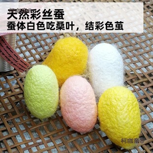 �Q�������w��z��ɫ�����Q�W���B�Q���b�s���Q���g3�g�Q����̫��