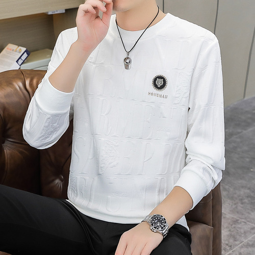 High-end Men's Crew Neck Loose Fit Long Sleeve T-Shirt with Embroidery for Spring and Autumn, Trendy Casual Top