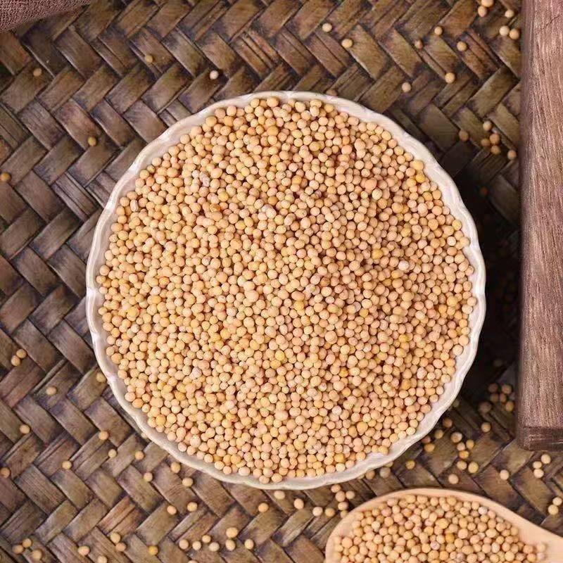 Bai Jie Zi (Sinicu White Mustard Seed) — Dried Food Herb for Tea & Powder key features