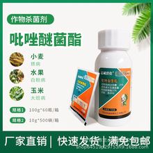 25%�����Ѿ����������������ǲ��Ѿ�֬��ù���׷�̿�Ҳ�100��