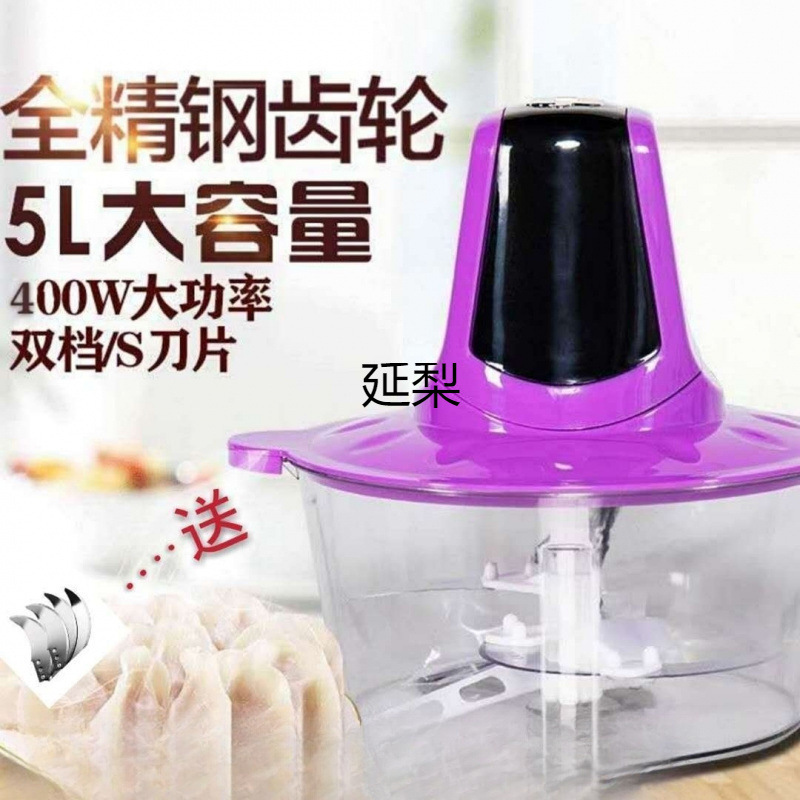 Yanli Electric Meat Grinder for Home Use, Small Electric Mincer, Meat Grinder, Multifunctional Blender, Vegetable Grinder Yanli