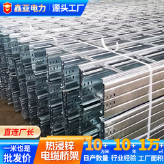 熱浸亜鉛ケーブルラック工事用配電送電大スパンブリッジ熱浸亜鉛はしご式ブリッジラック亜鉛メッキブリッジ