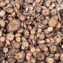 批发零售四川万源红藤血塞通切片药食同源通血藤泡茶泡水散装500g