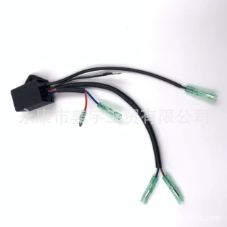东发二冲程T18马力T30马力船外机挂机发动机配件CDI  3G2-06060-2