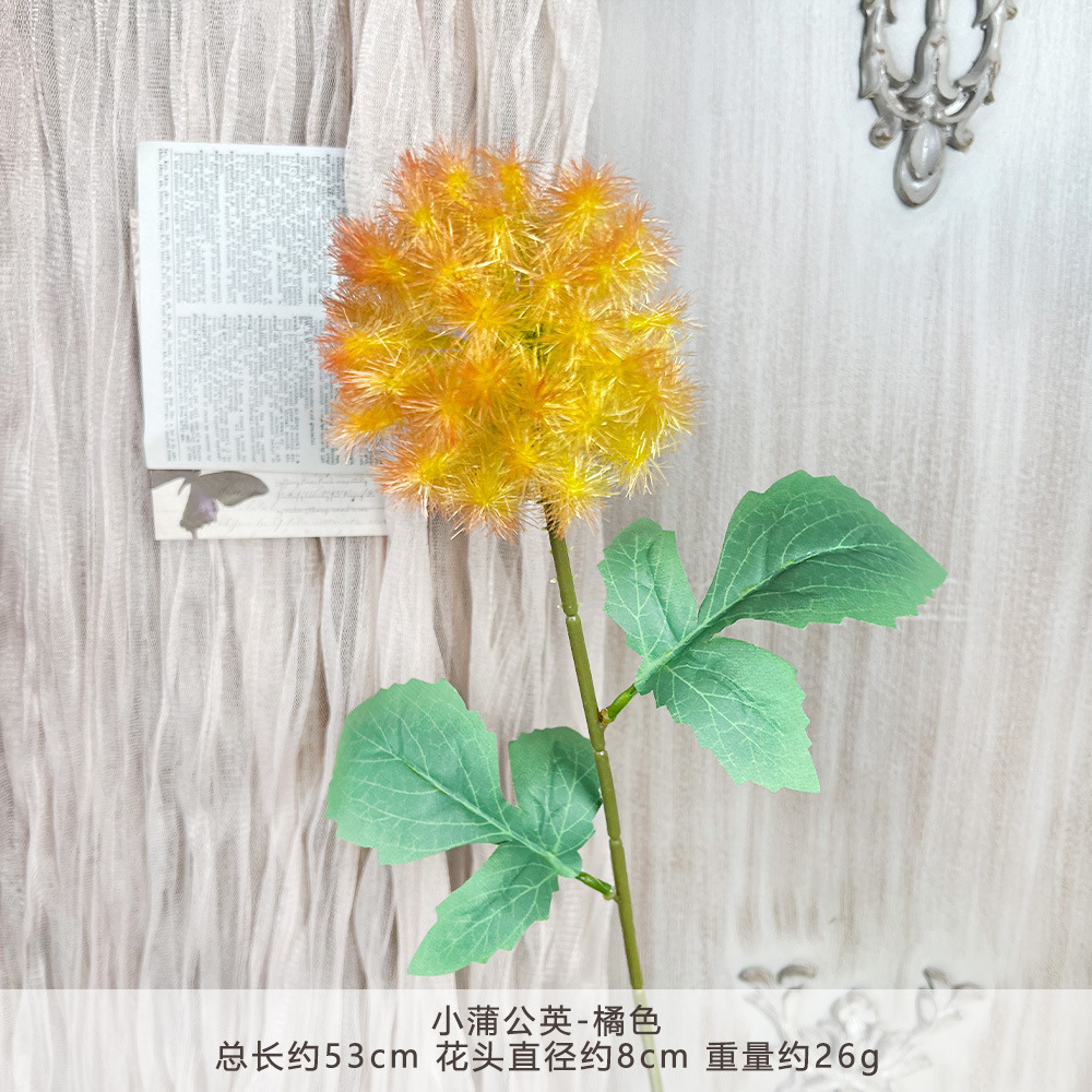 HZY-Bồ Công Anh Nhỏ-Cam