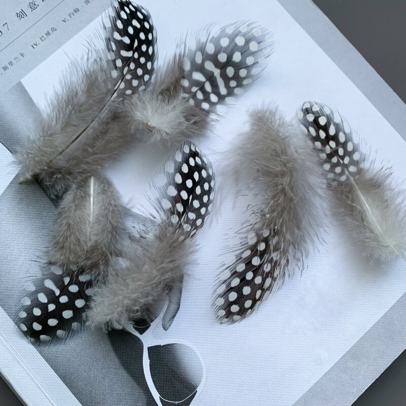 Factory Direct Sales of Pearl Chicken Feathers, Natural Wave Ignition Turkey Feathers, Handmade DIY Jewelry, Crafts, Cat Stick Accessories