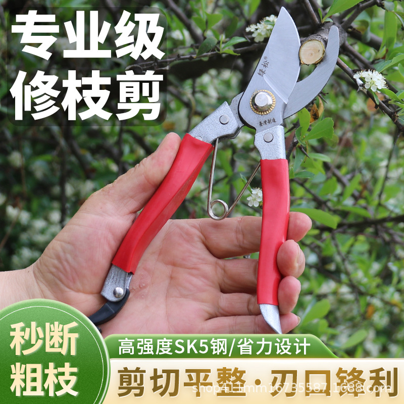 v3园林工具剪修枝剪园艺剪刀加厚果树嫁接粗枝摘果花园剪SK5
