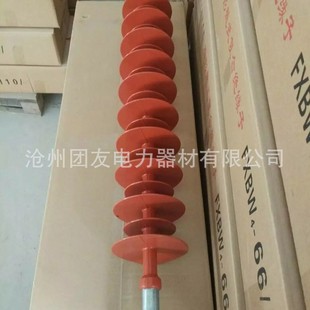 FS-66/5 composite cross arm insulators, factory outlets, various styles of insulators have consulting customer service