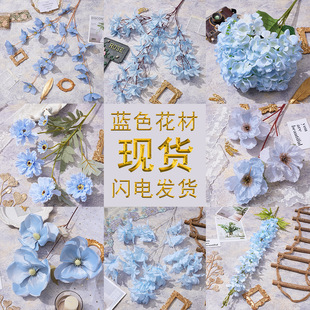 ���滨�{ɫ�廨��Y�b�·�����ٻ�����c���Ż���Ī�λ��@֮��