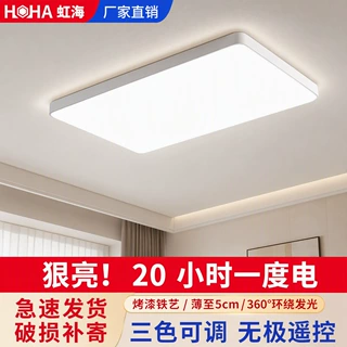 吸顶灯客厅卧室极简现代LED铁艺亚克力主灯大厅灯具大全