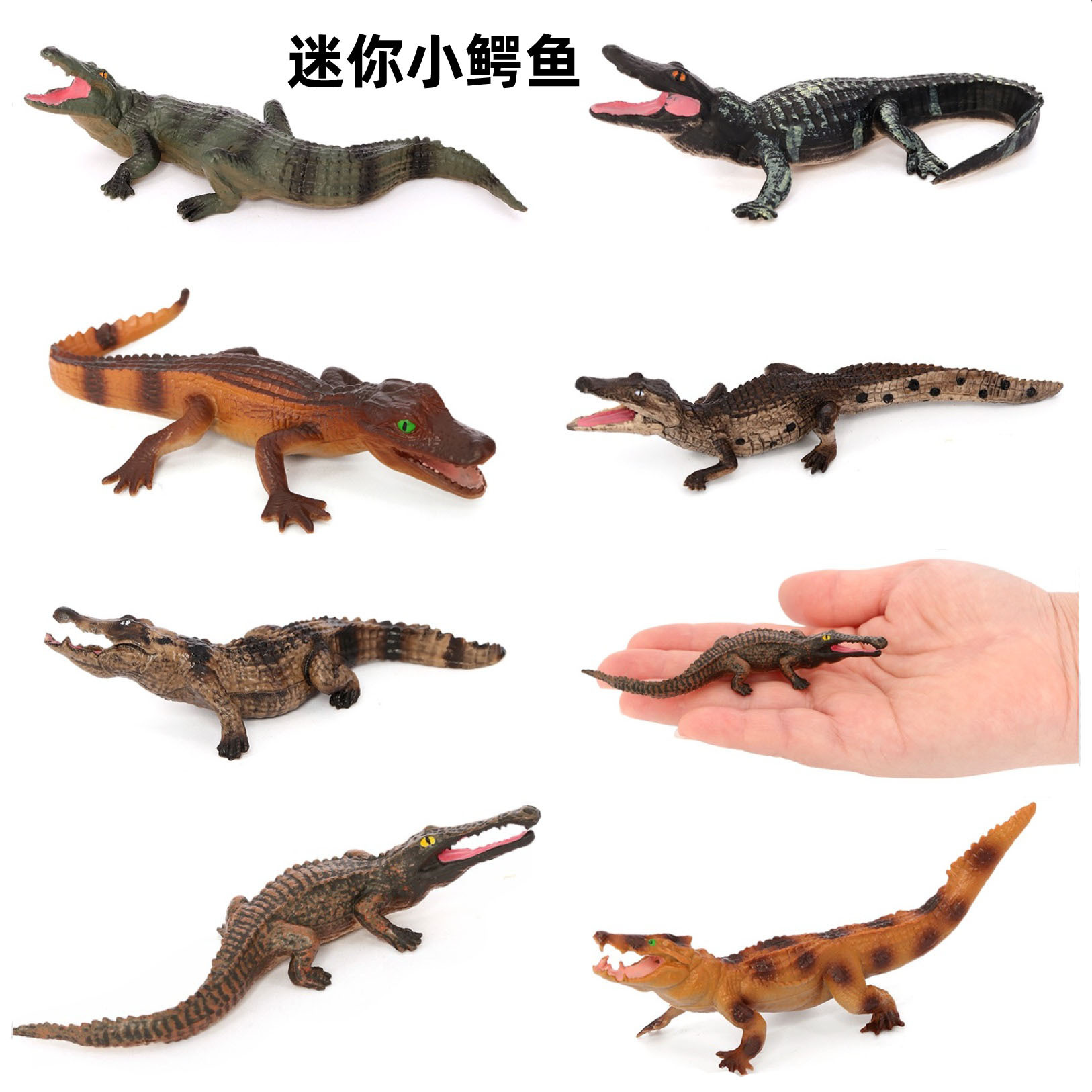 Cross-Border Solid Amphibian Simulation Crocodile Nile Crocodile Saltwater Crocodile American Crocodile Long-Snouted Crocodile Toy Model Ornaments