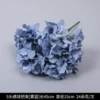 5 Hydrangea-smog blue
