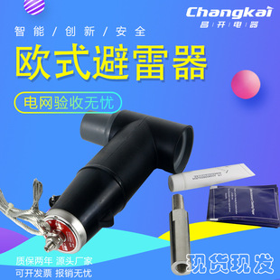 EuropeAn CAble ReAr Plug-in HeAd wiTh LighTning ArresTer 10kv BrAnch Box ReAr JoinT T-shAped BLQ-17/50/630A