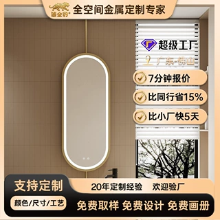 哇噢定制吊杆防雾智能浴室镜上下杆吊镜卫生间悬空吊镜椭圆镜家用