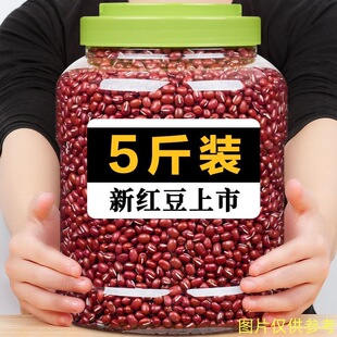 �o����t���tС��5����؛���l�|���r�Ҽt��޲�ײ�����s�Z���